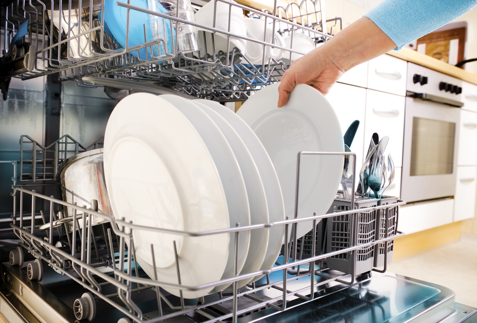 Dishwasher Inside (Large)